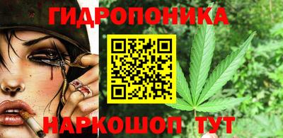 молекула духа Новодвинск