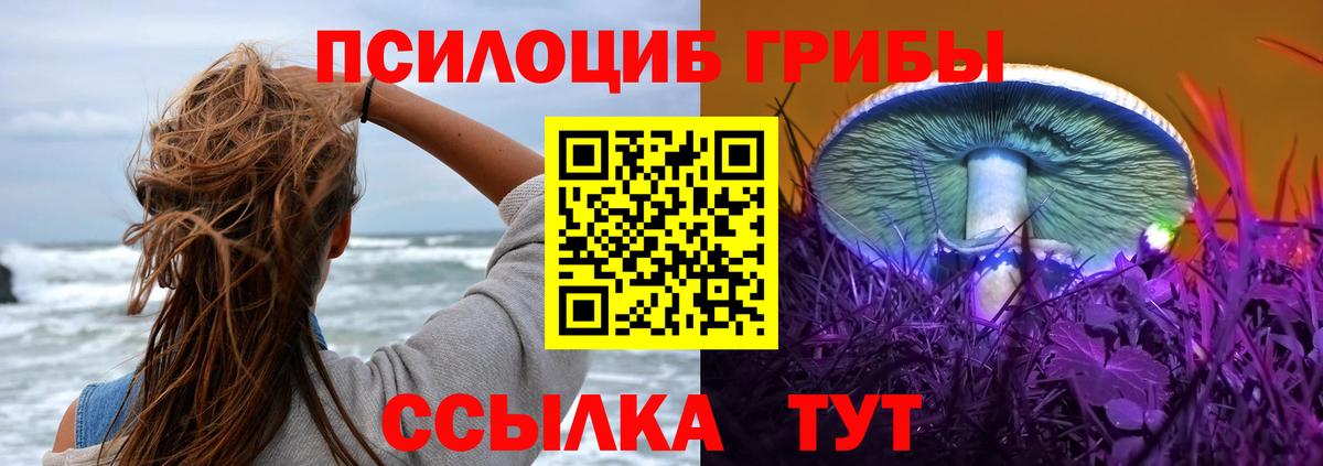 Галлюциногенные грибы мухоморы  Псилоцибиновые грибы Magic Shrooms  Черногорск  Вход с VPN 