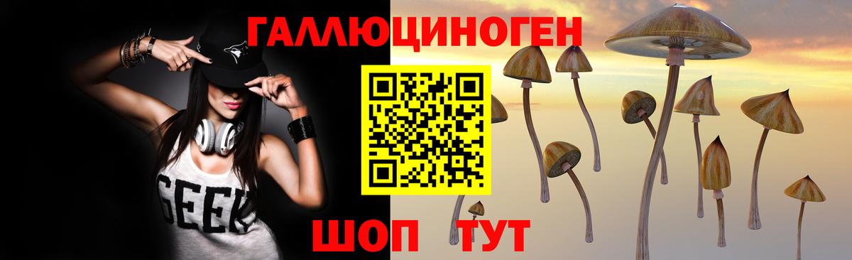 Галлюциногенные грибы MAGIC MUSHROOMS Черногорск