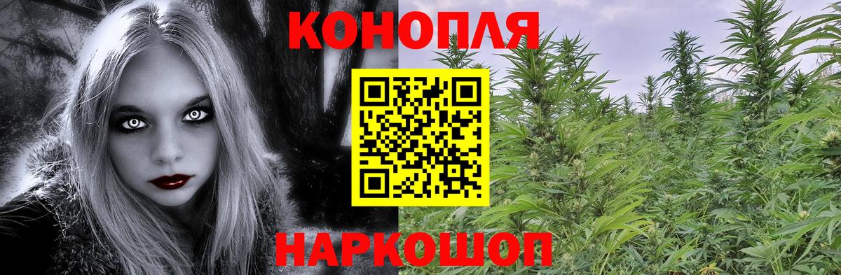 Марихуана семена  Бошки марихуана сатива  Вход с VPN  Черногорск 